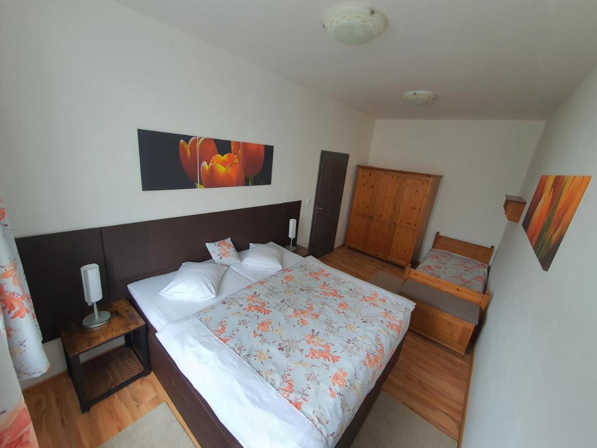 Apartma Na Hane Apartment Kostelec na Hane ภายนอก รูปภาพ