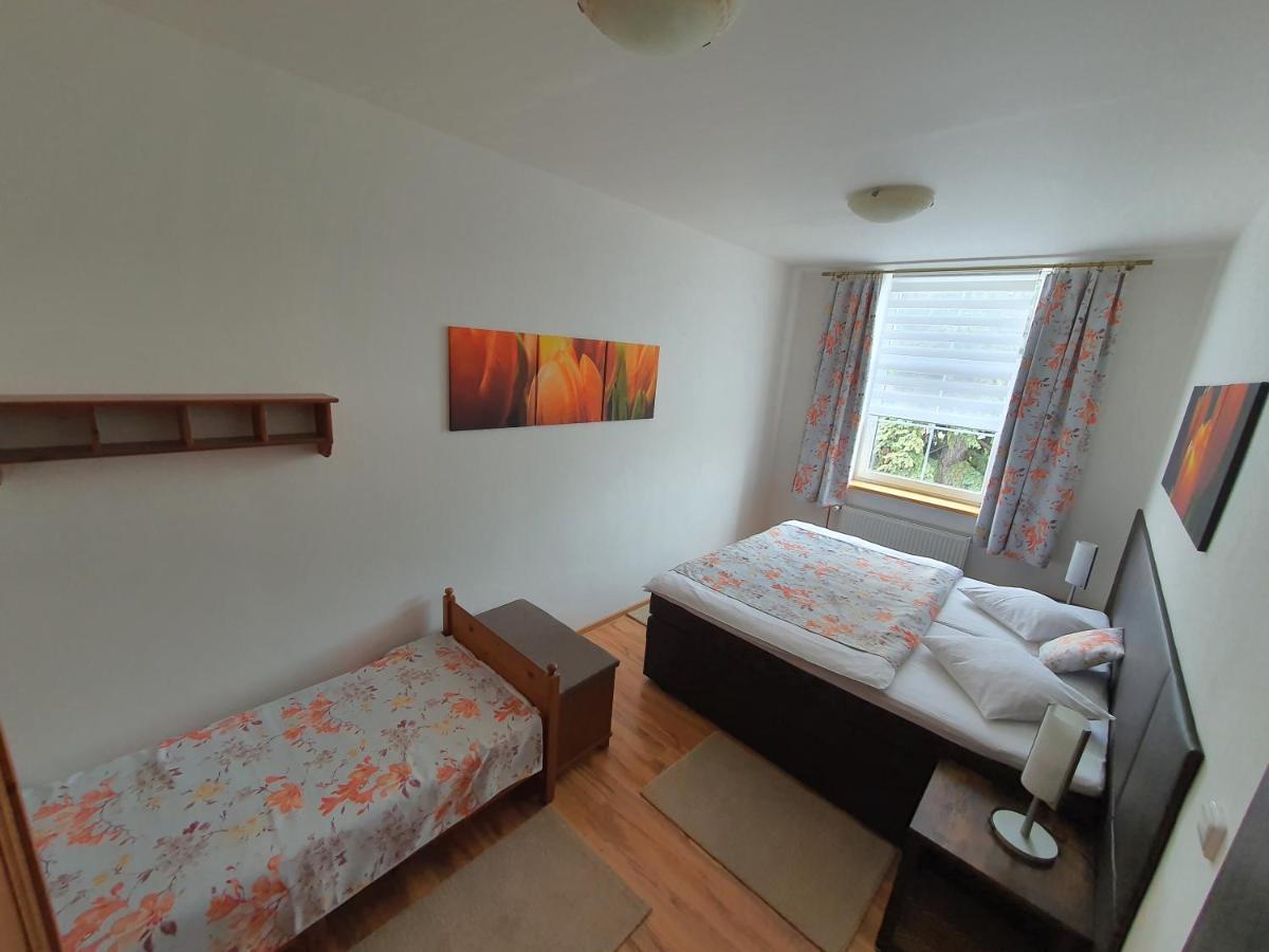 Apartma Na Hane Apartment Kostelec na Hane ภายนอก รูปภาพ